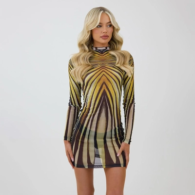 Vintage Print Round Neck Long Sleeve Sheer Mesh Overlay Top & Fitted Slip Dress Set – Stylish Layered Look for Everyday, Streetwear & Date Outings 01