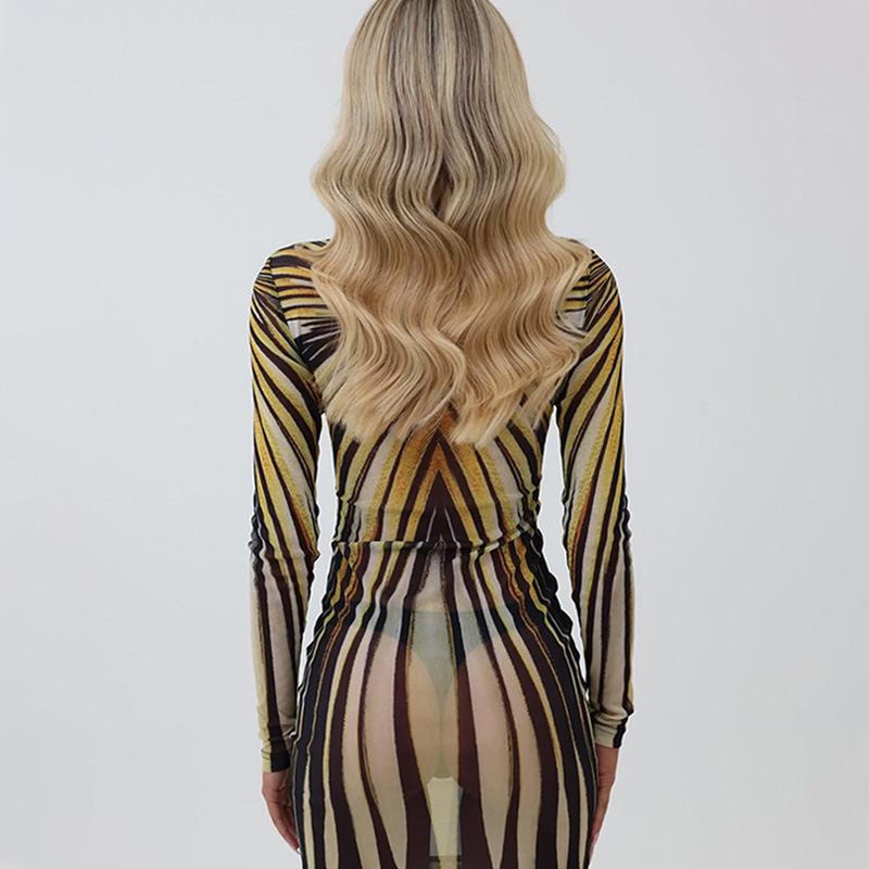 Vintage Print Round Neck Long Sleeve Sheer Mesh Overlay Top & Fitted Slip Dress Set – Stylish Layered Look for Everyday, Streetwear & Date Outings