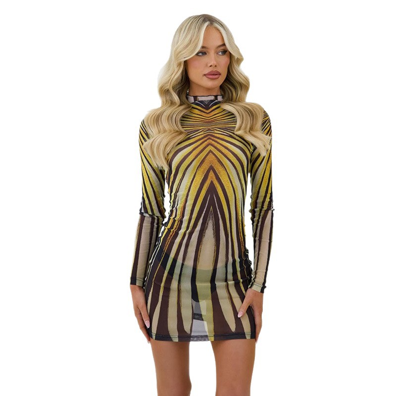 Vintage Print Round Neck Long Sleeve Sheer Mesh Overlay Top & Fitted Slip Dress Set – Stylish Layered Look for Everyday, Streetwear & Date Outings