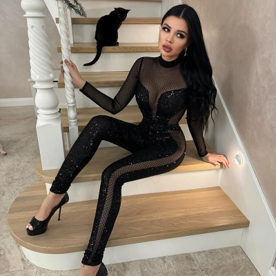Mesh Sheer Panel with Sequined Fashion Sexy Long Sleeve Full-Length Jumpsuit – Women's One-Piece Bodycon Bodysuit for Parties & Nightlife 02
