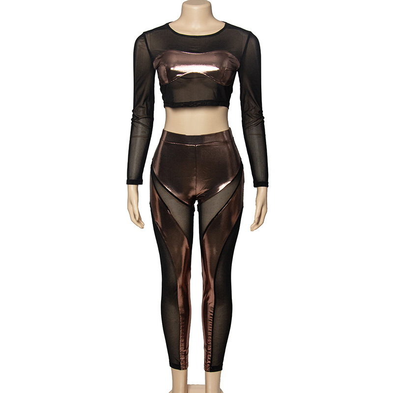 Solid Color Long Sleeve Top & Sheer Mesh High-Waisted Pants Set – Elegant See-Through 2-Piece Outfit for Women