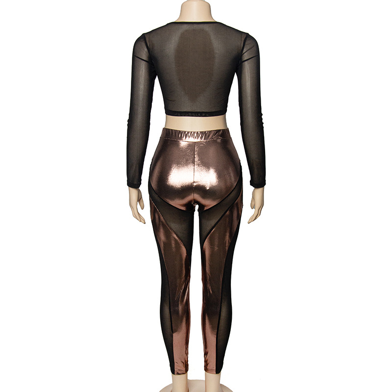 Solid Color Long Sleeve Top & Sheer Mesh High-Waisted Pants Set – Elegant See-Through 2-Piece Outfit for Women