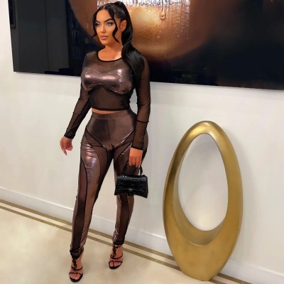 Solid Color Long Sleeve Top & Sheer Mesh High-Waisted Pants Set – Elegant See-Through 2-Piece Outfit for Women 01