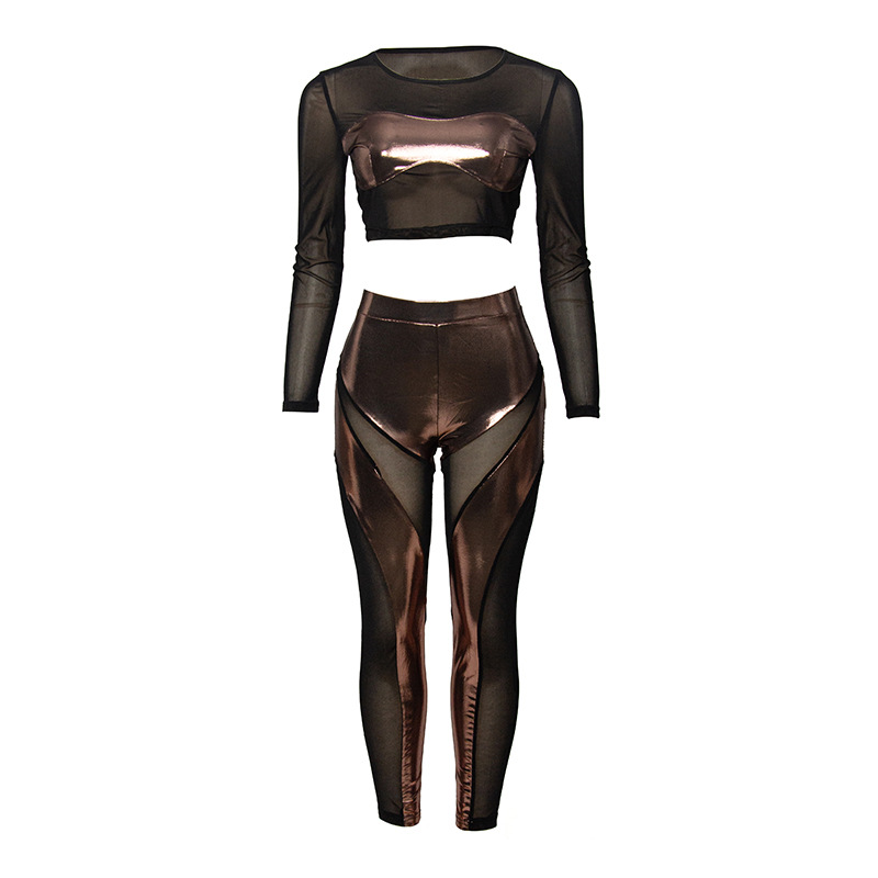 Solid Color Long Sleeve Top & Sheer Mesh High-Waisted Pants Set – Elegant See-Through 2-Piece Outfit for Women