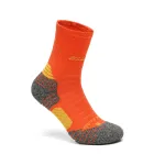 Antibacterial and deodorizing socks