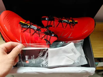 Grove (Red)  review sfohs 00