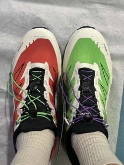 FlareGreen (Mixed-Color palette) review Question