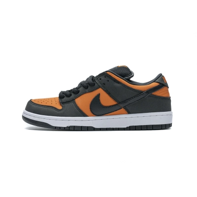 LJR Nike SB Dunk Low Orange Flash 304292-801  01