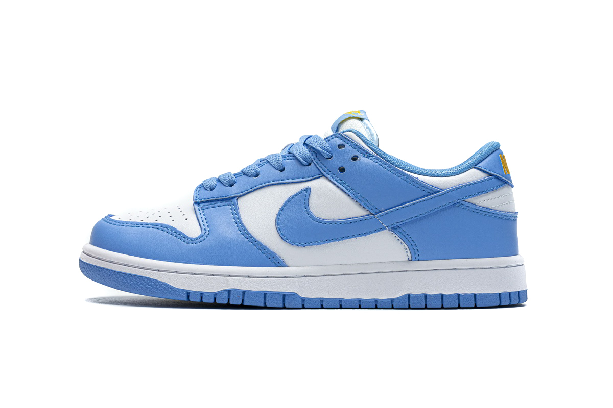 LJR Nike Dunk Low Coast DD1503-100