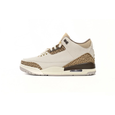 PK God Batch Air Jordan 3 Retro Palomino  CT8532 102 01