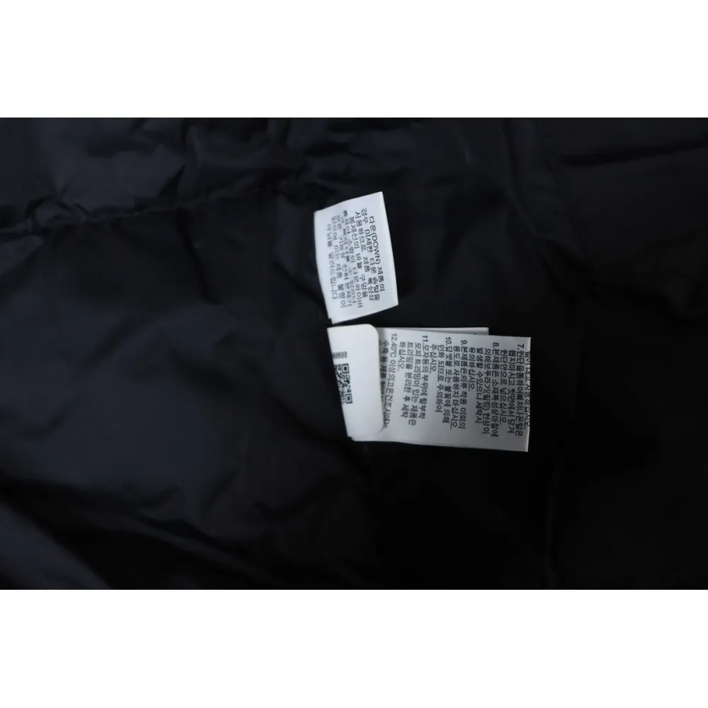 The North Face 30th Anniversary Limited Edition Down Jacket in Black