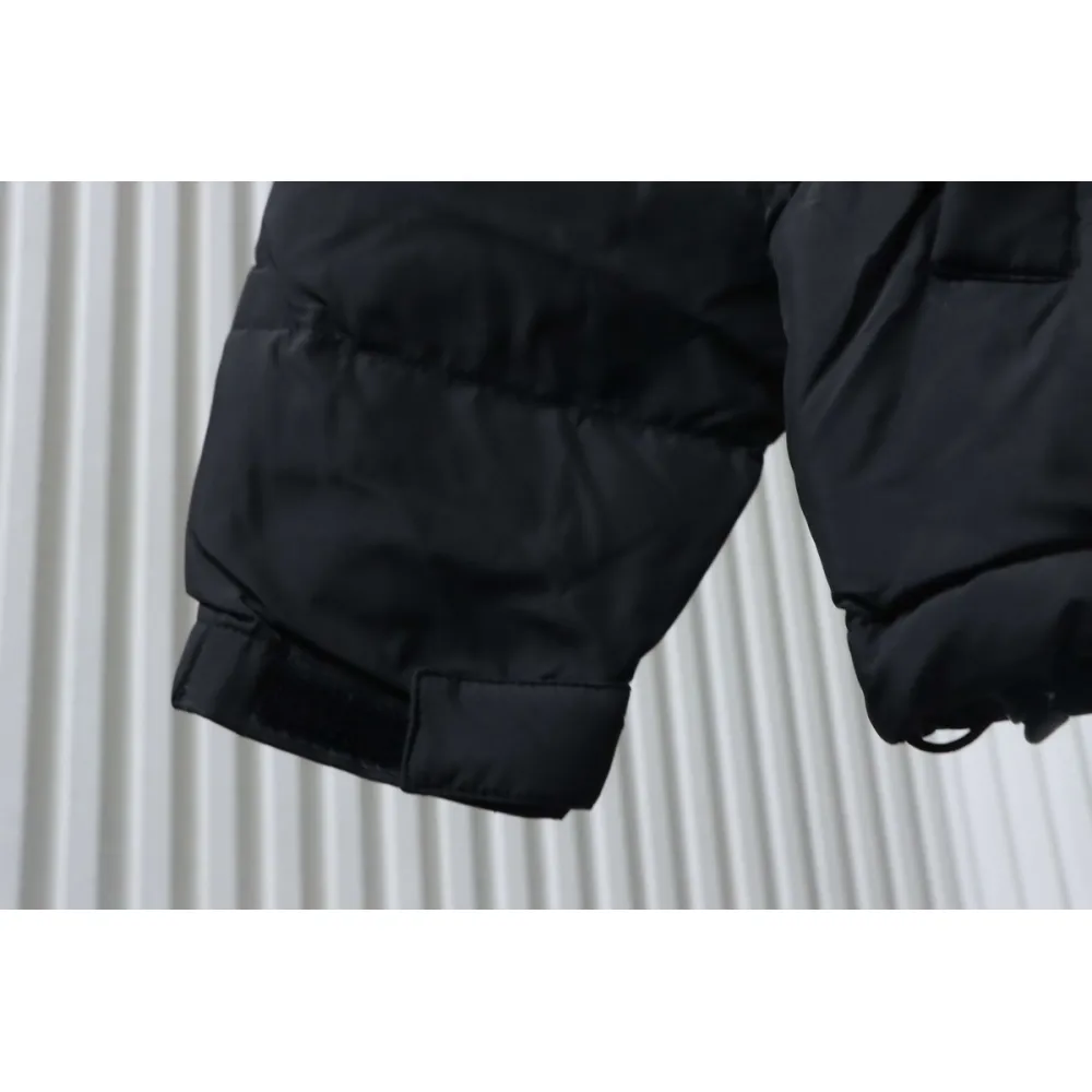 The North Face 30th Anniversary Limited Edition Down Jacket in Black