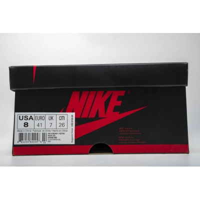 Air Jordan 1 Retro High Shattered Backboard 555088-005 02