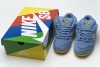 Nike Dunk SB Low Grateful Dead Bears Blue CJ5378-400