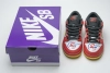 Nike Dunk SB Low Pro Vietnam 25th Anniversary 309242-307
