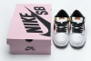 Nike Dunk SB Low Raygun Home 304292-802