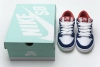 Nike Dunk SB Low Ishod Wair BMW 839685-416