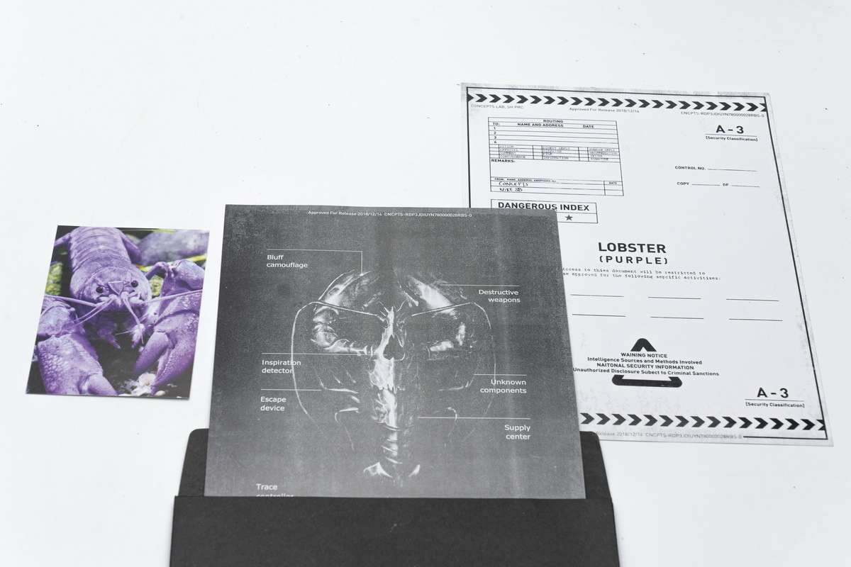 Coco Shoes Nike SB Dunk Low Concepts Purple Lobster (Special Box) BV1310-555 - Cocoshoesvip.net