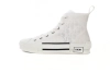 Dior B23 High Top Oblique 3SH118YNT_H060