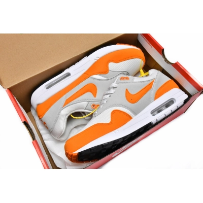 Nike Air Max 1 Anniversary Orange DC1454-101 02