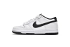 Nike Dunk Low White Black DD1503-113