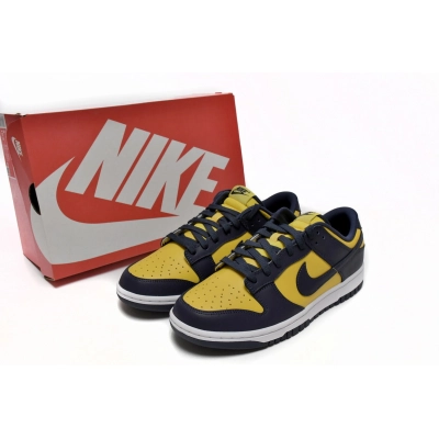 Nike Dunk Low Michigan DD1391-700 02