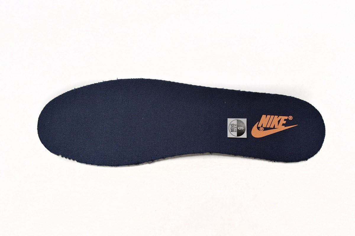 Coco Shoes Nike Dunk Low Michigan (2021) DD1391-700 - Cocoshoesvip.net