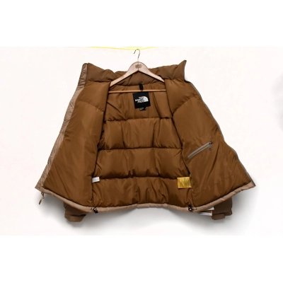 The North Face Brown 1996Nuptse 02