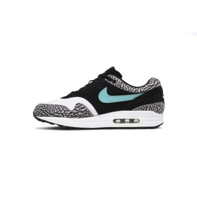Nike Air Max 1 Atmos Elephant 908366-001 01