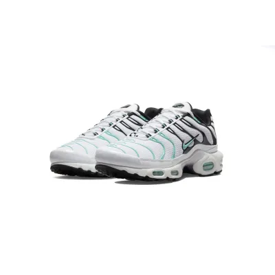 Nike Air Max Plus atmos White Hyper Jade 604133-148 Free Shipping 02