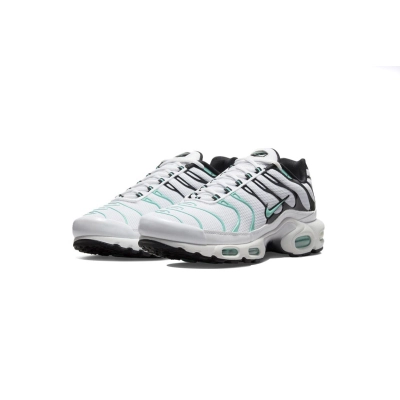 Nike Air Max Plus atmos White Hyper Jade 604133-148 Free Shipping 02