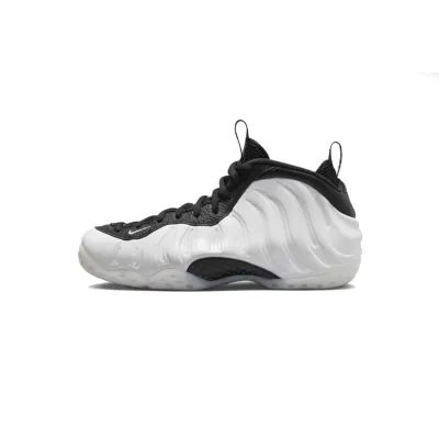 Nike Air Foamposite One Penny PE DV0815-100 01