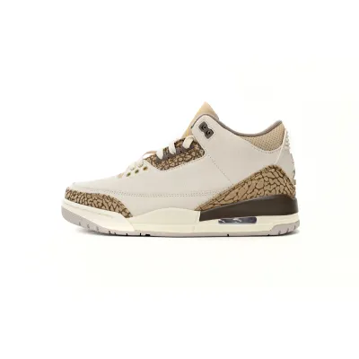 Air Jordan 3 Retro Palomino CT8532-102 01