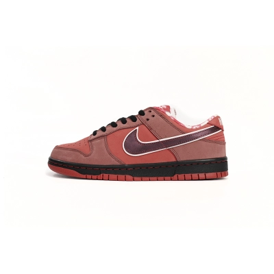 Coco Shoes Nike SB Dunk Low Concepts Red Lobster 313170-661 01
