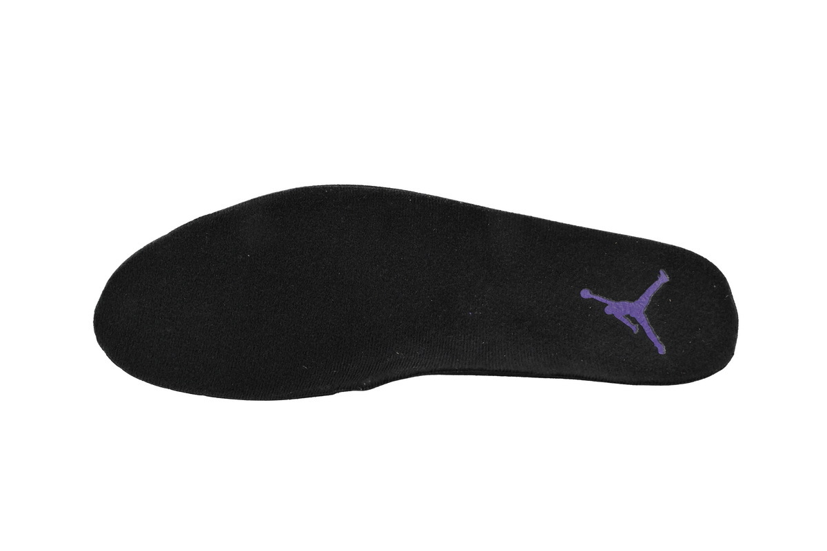 Coco Shoes Jordan 12 Retro Field Purple CT8013-057 - Cocoshoesvip.net