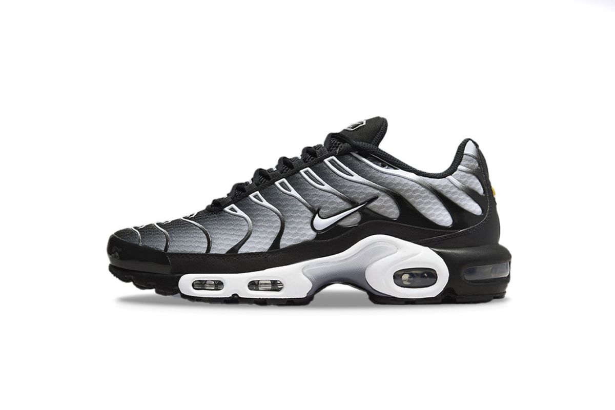 Coco Shoes Nike Air Max Plus Black Silver White DM0032-003 - Cocoshoesvip.net