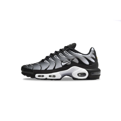Coco Shoes Nike Air Max Plus Black Silver White DM0032-003 01