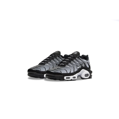 Coco Shoes Nike Air Max Plus Black Silver White DM0032-003 02