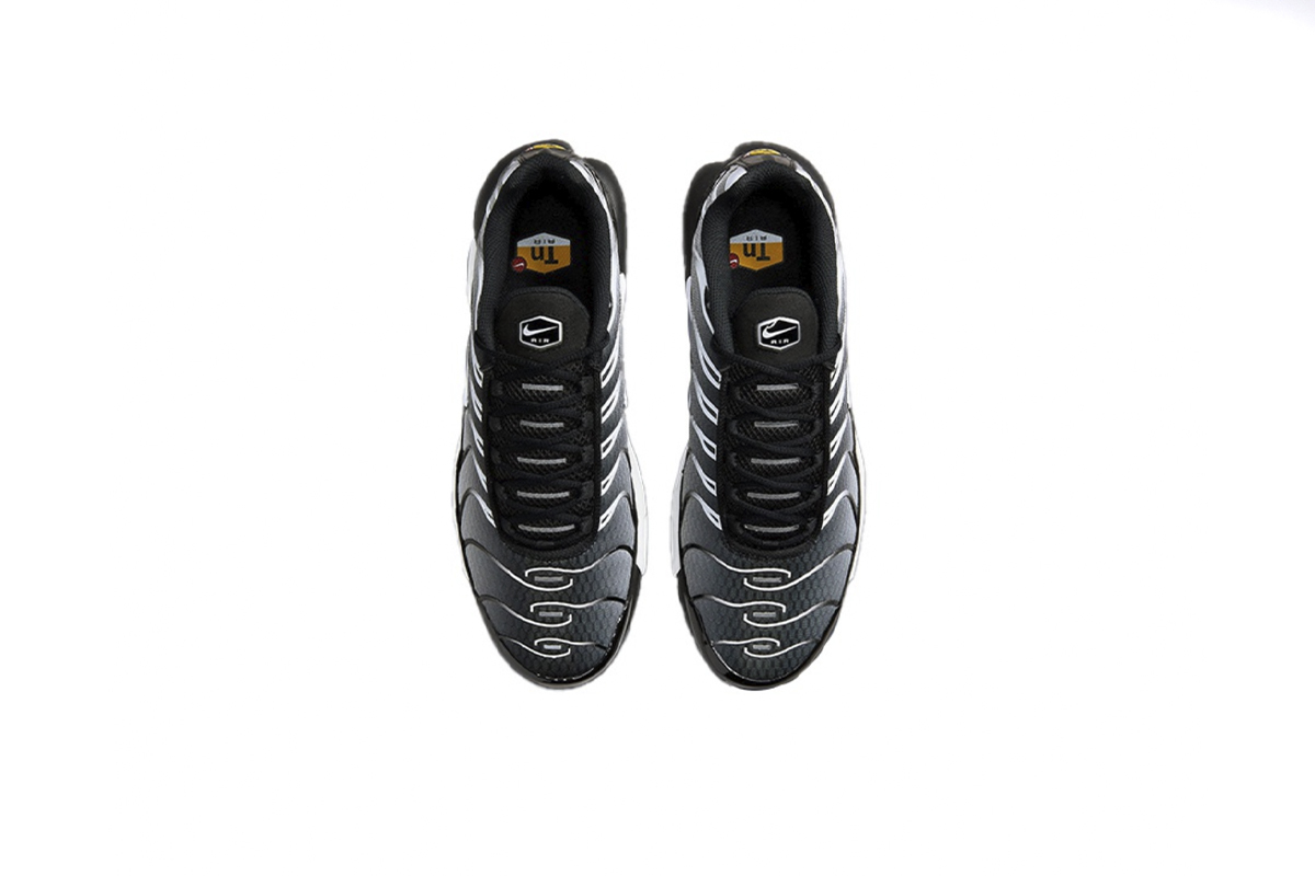 Coco Shoes Nike Air Max Plus Black Silver White DM0032-003 - Cocoshoesvip.net