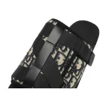 Coco Shoes Dior Alpha Sandal Oblique 3SA081YXV_H961 - Cocoshoesvip.net