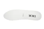 Coco Shoes Dior B22 White Blue 3SN231YXX_H865 - Cocoshoesvip.net