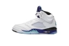 Air Jordan 5 Retro Grape（2025）HQ7978-100