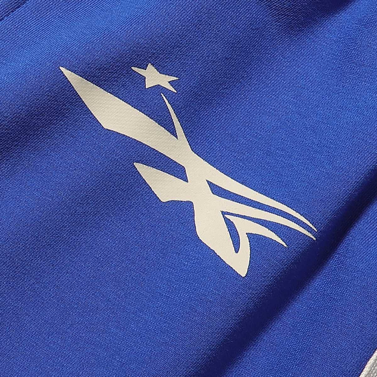 Coco Shoes Hellstar No Guts No Glory Shorts #2512 Black/Blue