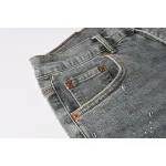 Purple Brand Denim Shorts P5093