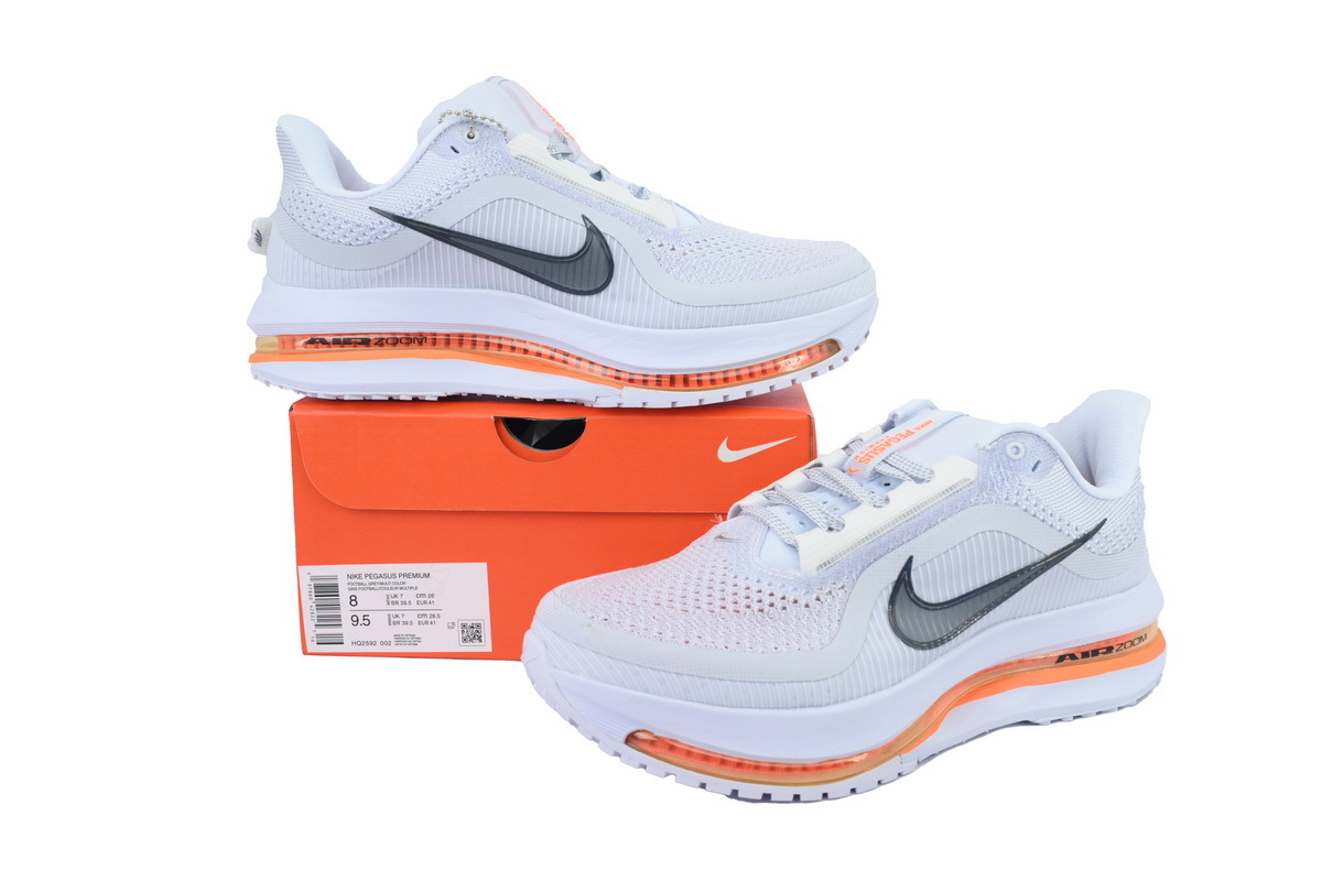 Coco Shoes Nike Air Zoom Pegasus Premium 'Airscape' HQ2592-002