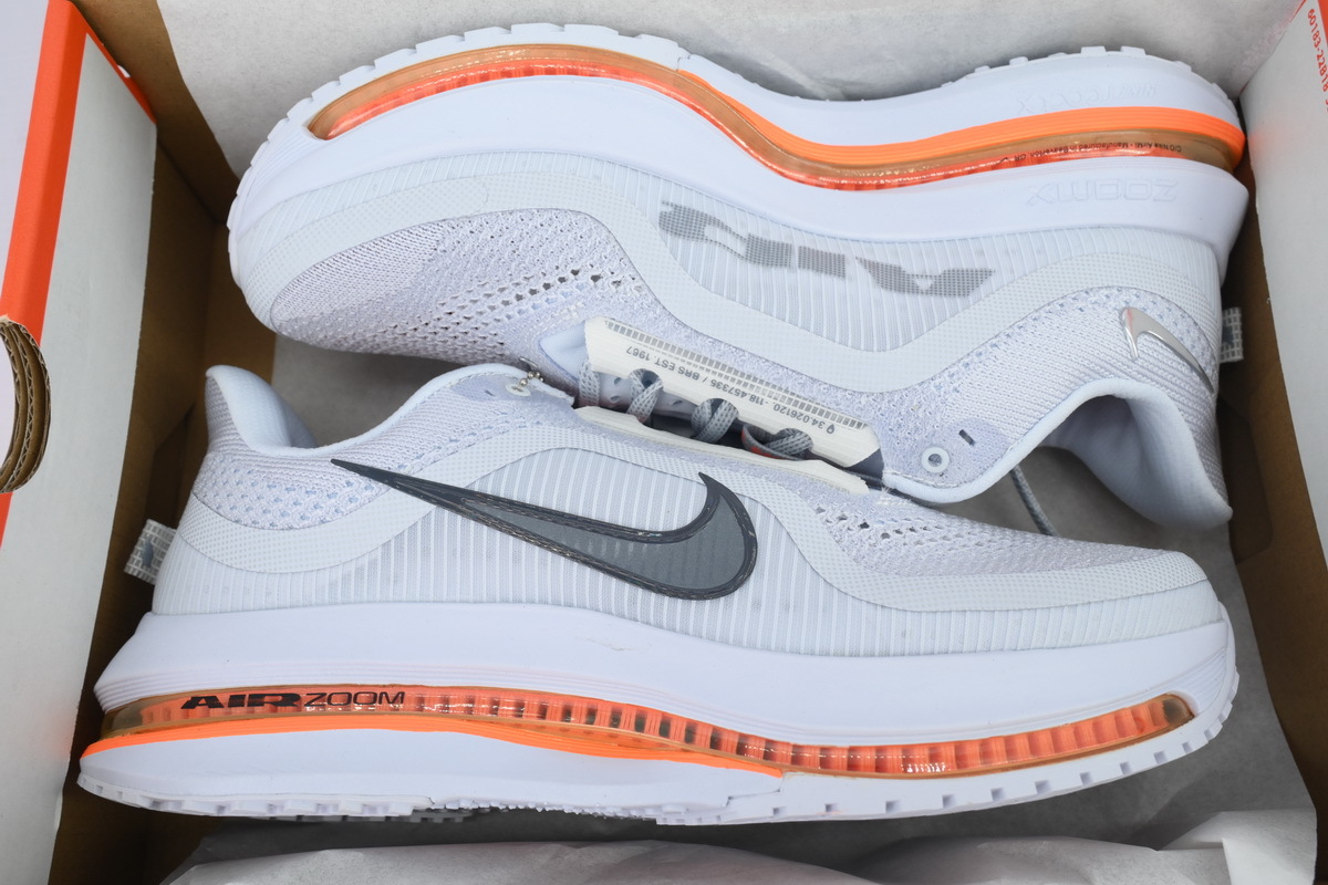 Coco Shoes Nike Air Zoom Pegasus Premium 'Airscape' HQ2592-002