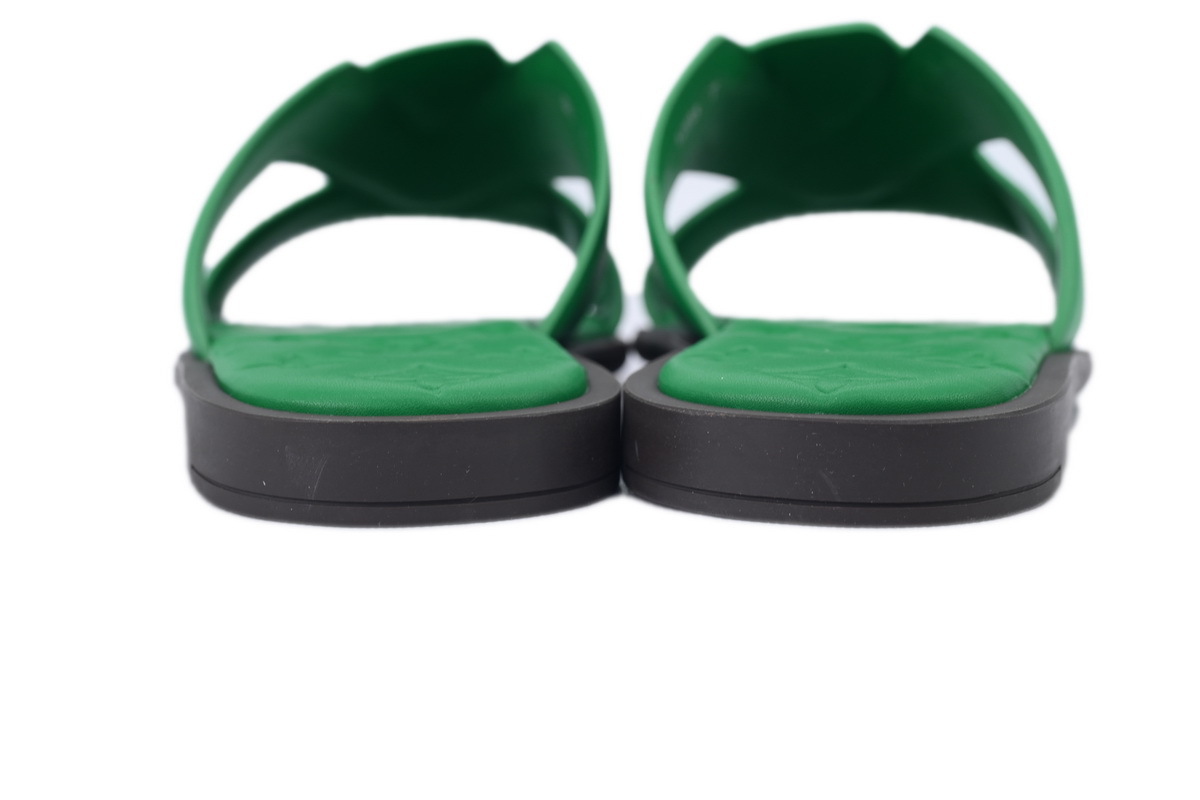 Louis Vuitton Oasis Green Glossy Surface