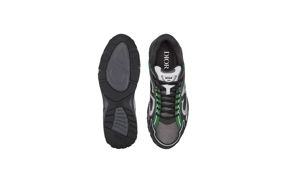 Dior B30 Reflective CD30 Deep Grey Green 3SN279ZRB_H695