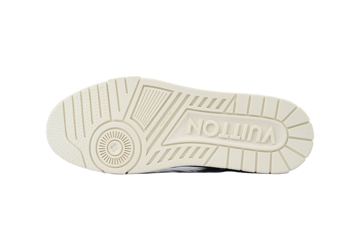 Coco Shoes Louis Vuitton Trainer Black Skin And White Background 