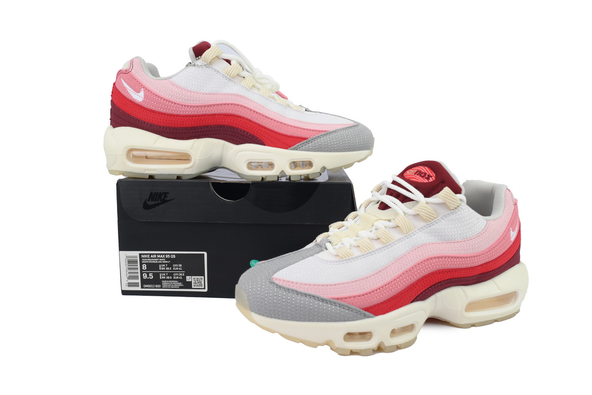 Coco Shoes Nike Air Max 95 Anatomy Of Air DM0012-600